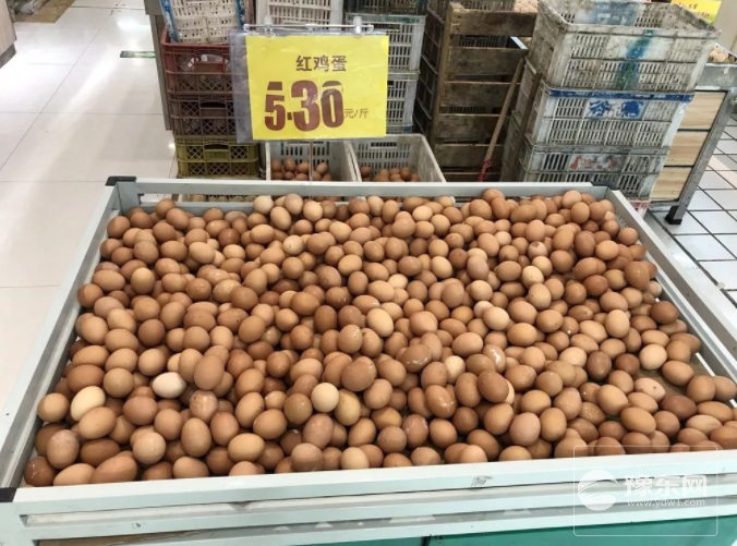 永城鸡蛋.png