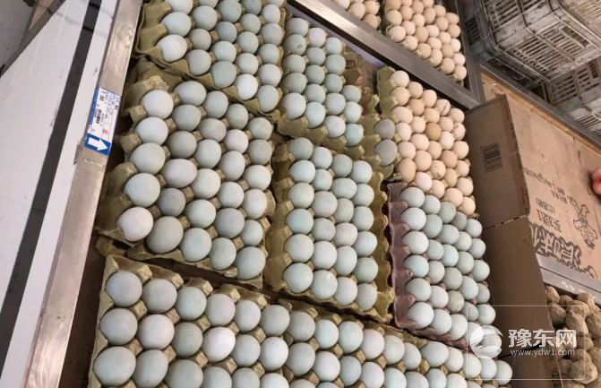 永城鸡蛋价格.png